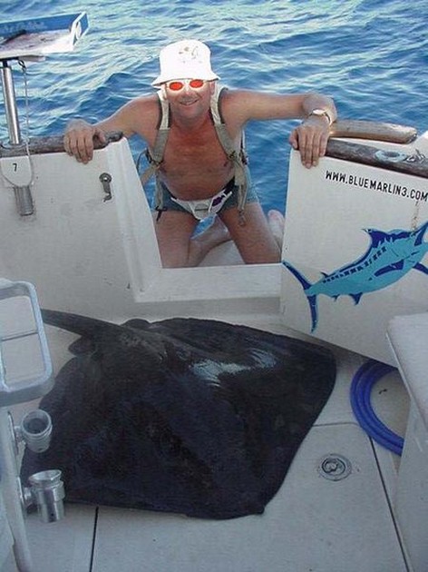 common stingray Cavalier & Blue Marlin Sport Fishing Gran Canaria