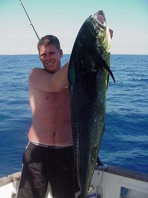dorado Cavalier & Blue Marlin Sport Fishing Gran Canaria