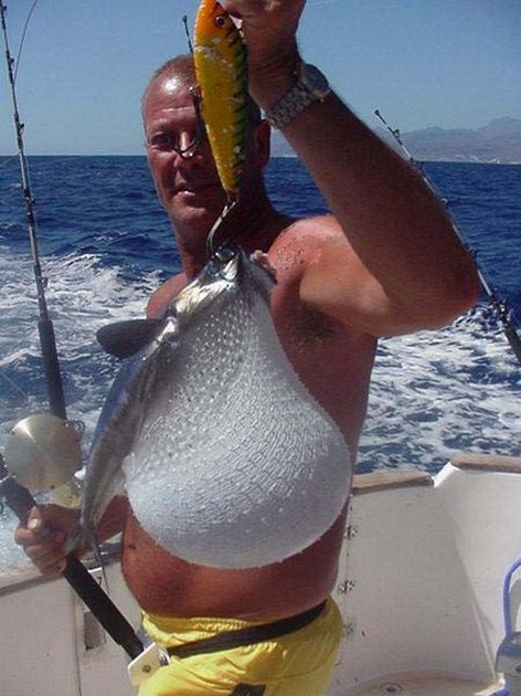 pufferfish Cavalier & Blue Marlin Sport Fishing Gran Canaria