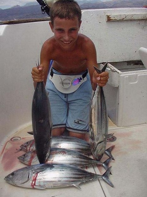 skipjack tuna Cavalier & Blue Marlin Sport Fishing Gran Canaria