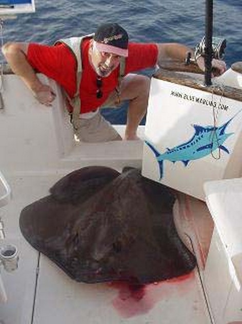 roughtail stingray Cavalier & Blue Marlin Sport Fishing Gran Canaria