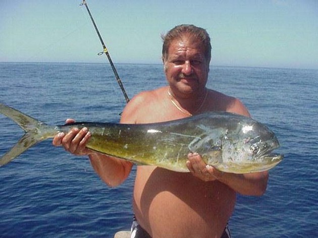 dorado Cavalier & Blue Marlin Sport Fishing Gran Canaria