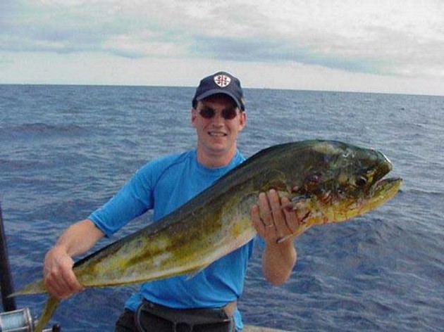 dorado Cavalier & Blue Marlin Sport Fishing Gran Canaria