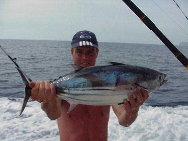 skipjack tuna Cavalier & Blue Marlin Sport Fishing Gran Canaria