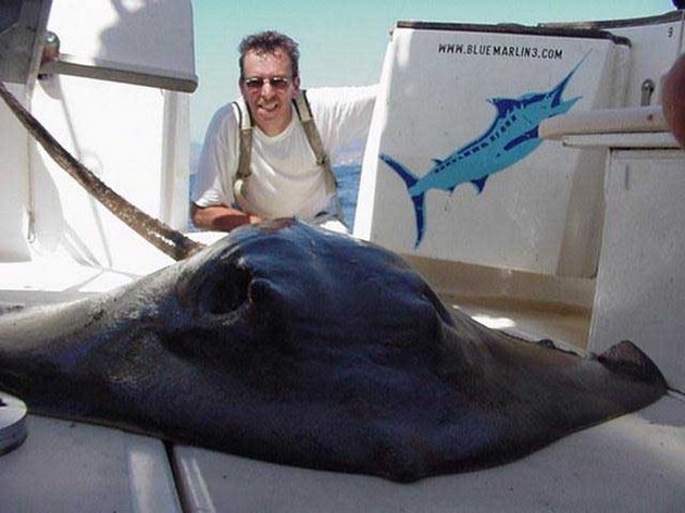 common stingray Cavalier & Blue Marlin Sport Fishing Gran Canaria