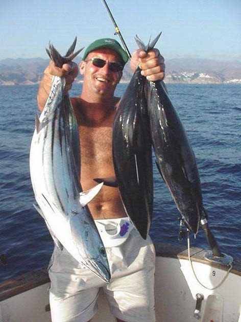 skipjack tuna Cavalier & Blue Marlin Sport Fishing Gran Canaria