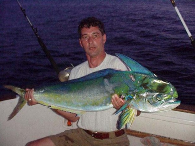 dorado Cavalier & Blue Marlin Sport Fishing Gran Canaria