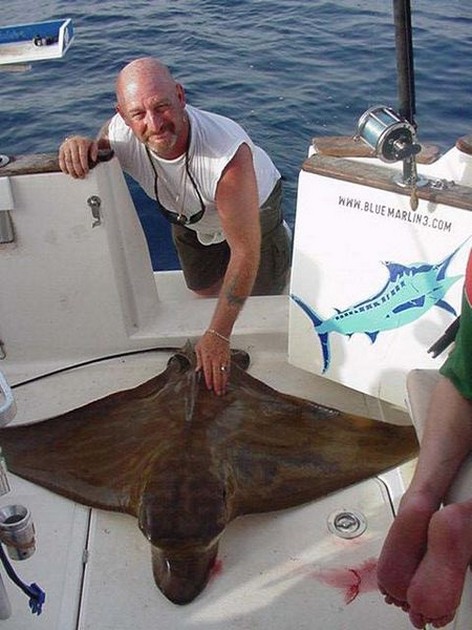 duckbill ray Cavalier & Blue Marlin Sport Fishing Gran Canaria