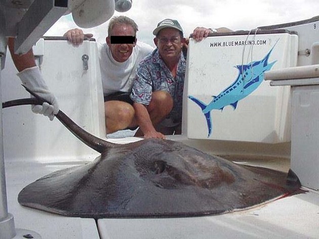 round stingray Cavalier & Blue Marlin Sport Fishing Gran Canaria