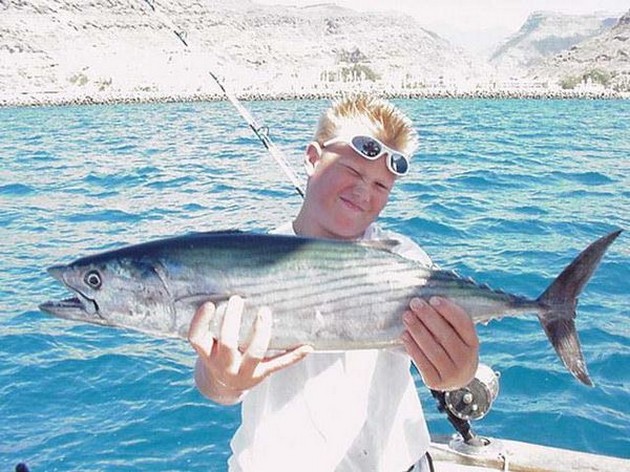 north atlantic bonito Cavalier & Blue Marlin Sport Fishing Gran Canaria