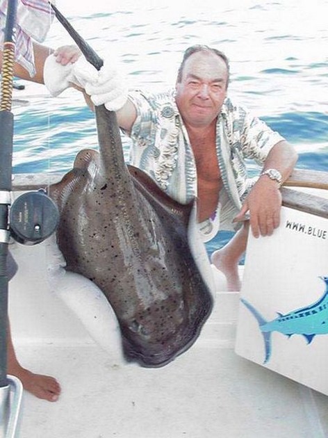 roughtail stingray Cavalier & Blue Marlin Sport Fishing Gran Canaria
