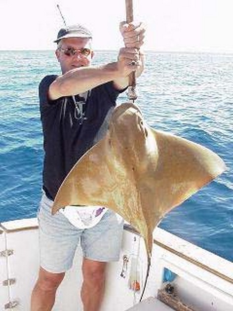eagle ray Cavalier & Blue Marlin Sport Fishing Gran Canaria