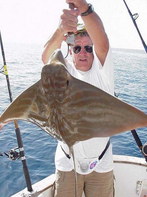 duckbill ray Cavalier & Blue Marlin Sport Fishing Gran Canaria