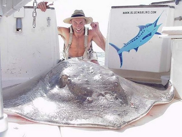 common stingray Cavalier & Blue Marlin Sport Fishing Gran Canaria