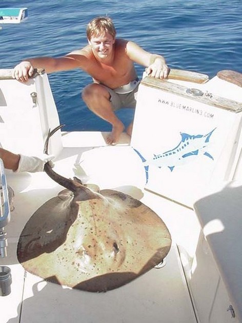 round stingray Cavalier & Blue Marlin Sport Fishing Gran Canaria