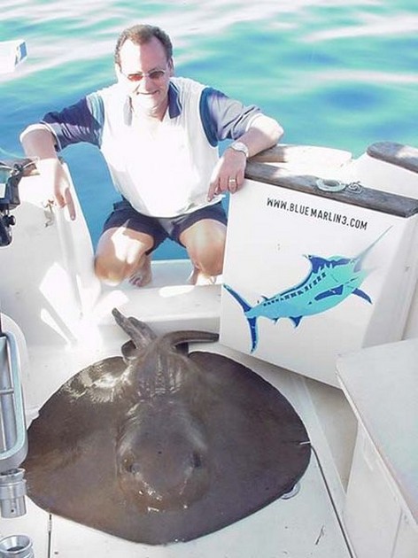 roughtail stingray Cavalier & Blue Marlin Sport Fishing Gran Canaria