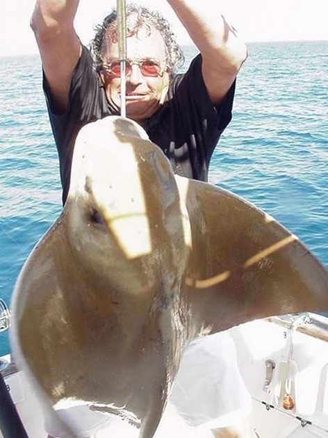 eagle ray Cavalier & Blue Marlin Sport Fishing Gran Canaria