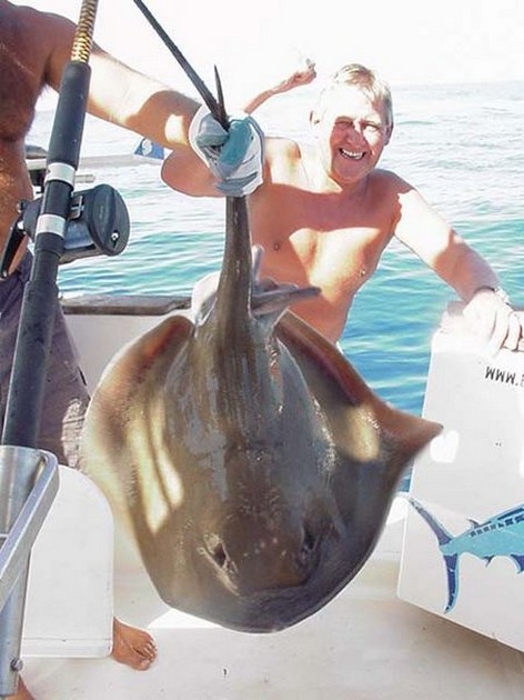 roughtail stingray Cavalier & Blue Marlin Sport Fishing Gran Canaria