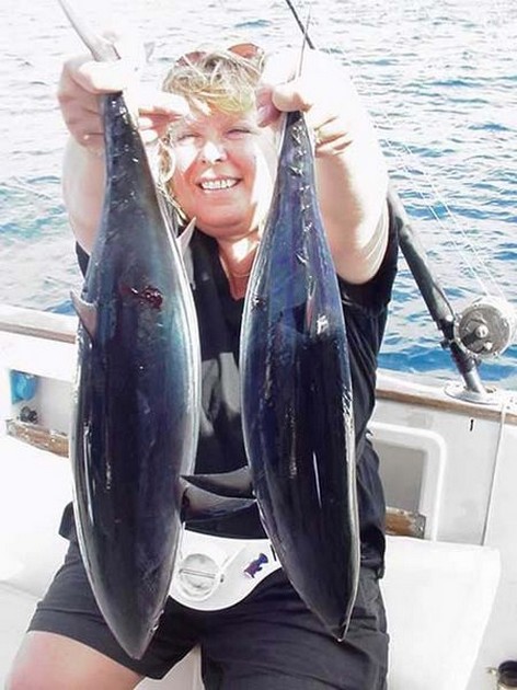 skipjack tuna Cavalier & Blue Marlin Sport Fishing Gran Canaria