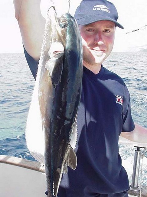 pufferfish Cavalier & Blue Marlin Sport Fishing Gran Canaria