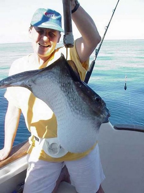 pufferfish Cavalier & Blue Marlin Sport Fishing Gran Canaria