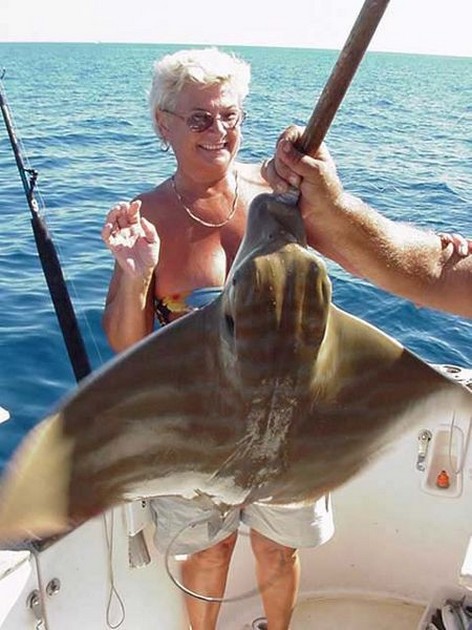 duckbill ray Cavalier & Blue Marlin Sport Fishing Gran Canaria