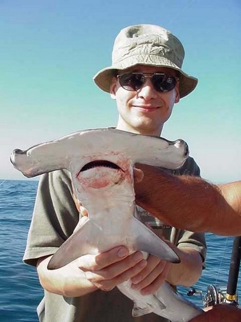 hammerhead shark Cavalier & Blue Marlin Sport Fishing Gran Canaria