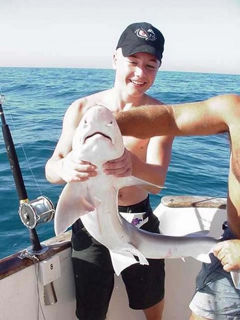 tope Cavalier & Blue Marlin Sport Fishing Gran Canaria