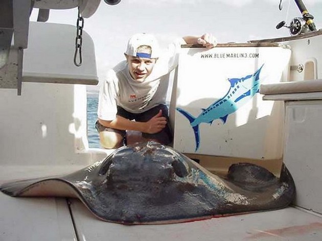 common stingray Cavalier & Blue Marlin Sport Fishing Gran Canaria