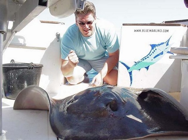 common stingray Cavalier & Blue Marlin Sport Fishing Gran Canaria