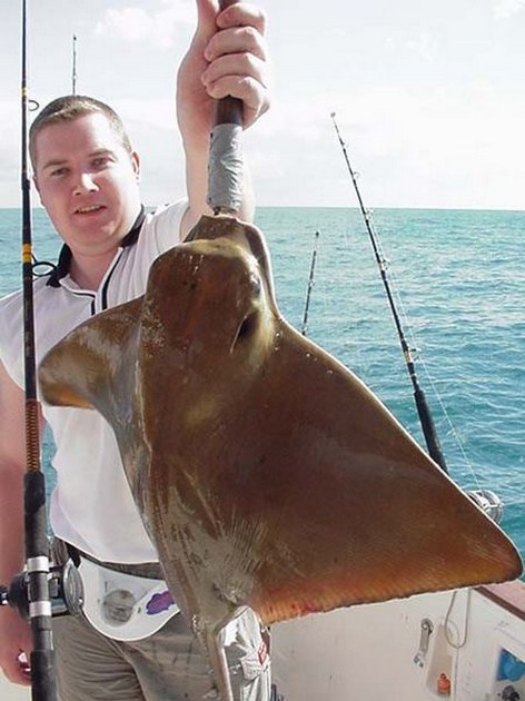 eagle ray Cavalier & Blue Marlin Sport Fishing Gran Canaria