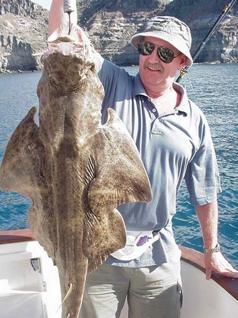 angel shark Cavalier & Blue Marlin Sport Fishing Gran Canaria
