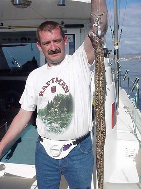 tiger moray Cavalier & Blue Marlin Sport Fishing Gran Canaria