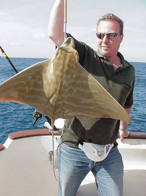 duckbill ray Cavalier & Blue Marlin Sport Fishing Gran Canaria