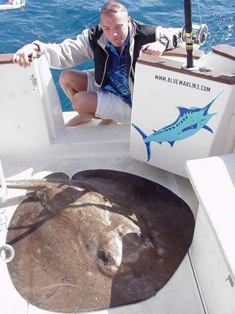 round stingray Cavalier & Blue Marlin Sport Fishing Gran Canaria