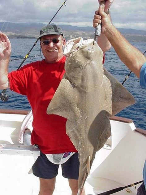 angel shark Cavalier & Blue Marlin Sport Fishing Gran Canaria