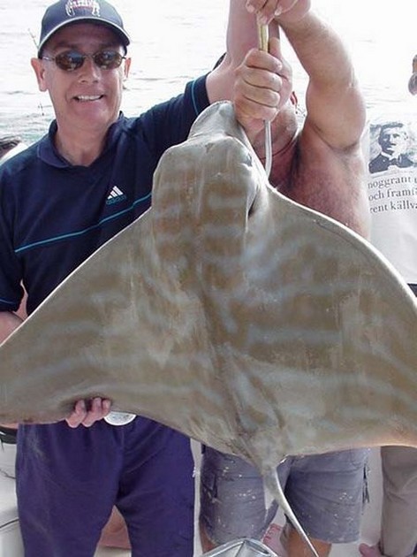 duckbill ray Cavalier & Blue Marlin Sport Fishing Gran Canaria