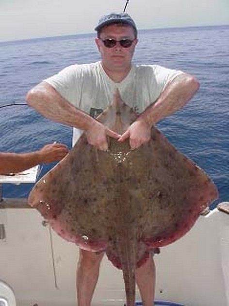 thornback ray Cavalier & Blue Marlin Sport Fishing Gran Canaria