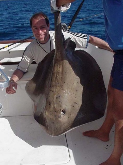 roughtail stingray Cavalier & Blue Marlin Sport Fishing Gran Canaria
