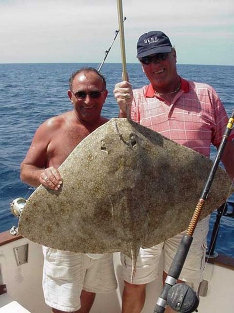 butterfly ray Cavalier & Blue Marlin Sport Fishing Gran Canaria