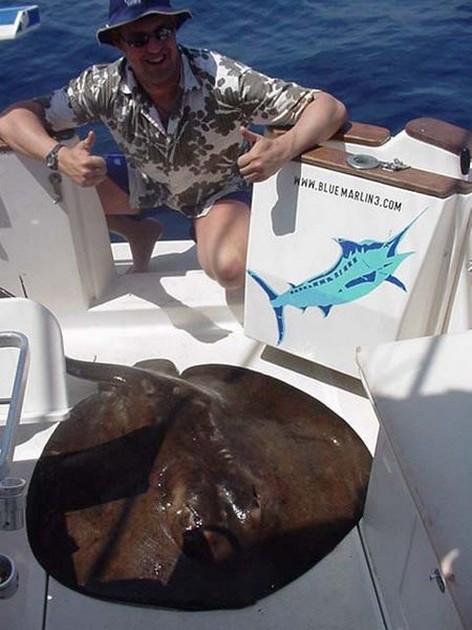 round stingray Cavalier & Blue Marlin Sport Fishing Gran Canaria