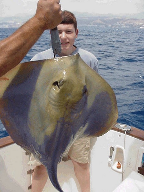 blue stingray Cavalier & Blue Marlin Sport Fishing Gran Canaria