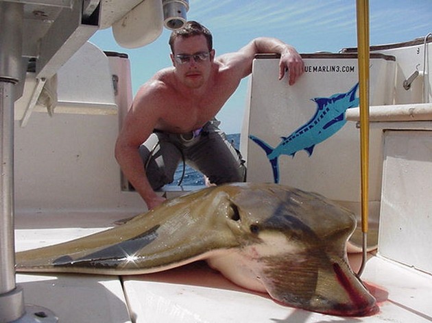 duckbill ray Cavalier & Blue Marlin Sport Fishing Gran Canaria