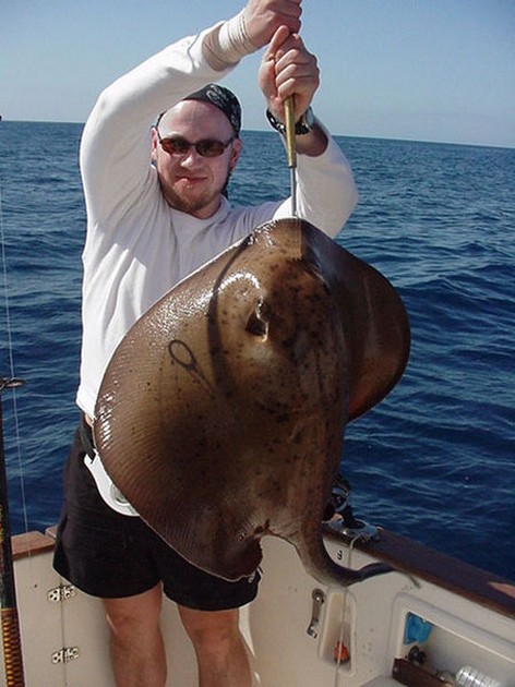roughtail stingray Cavalier & Blue Marlin Sport Fishing Gran Canaria