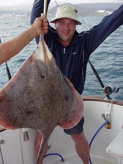 thornback ray Cavalier & Blue Marlin Sport Fishing Gran Canaria
