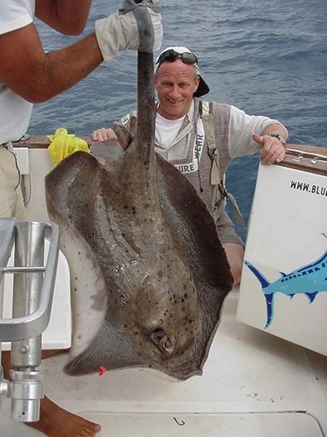 roughtail stingray Cavalier & Blue Marlin Sport Fishing Gran Canaria