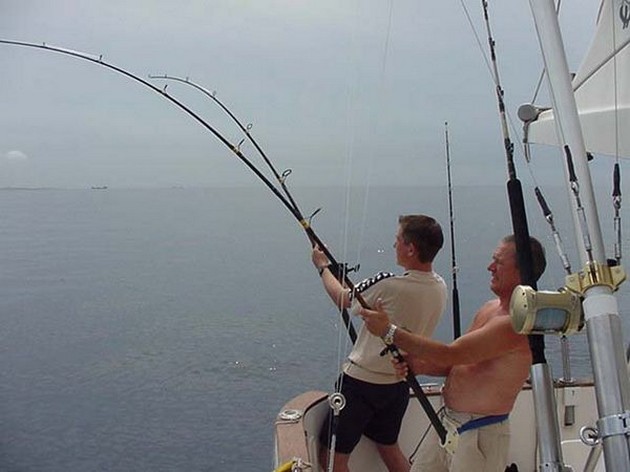 hooked up Cavalier & Blue Marlin Sport Fishing Gran Canaria