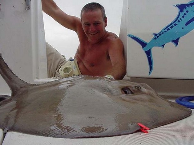 common stingray Cavalier & Blue Marlin Sport Fishing Gran Canaria