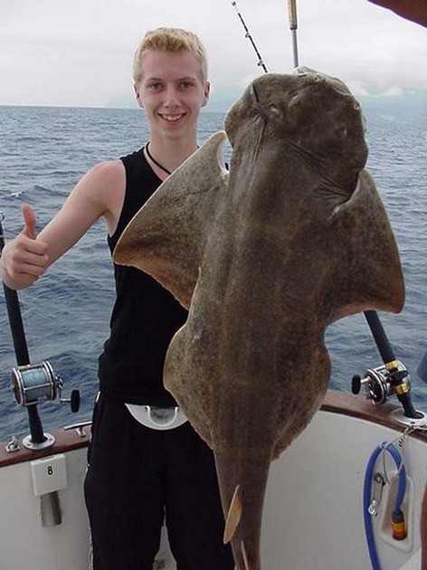 angel shark Cavalier & Blue Marlin Sport Fishing Gran Canaria