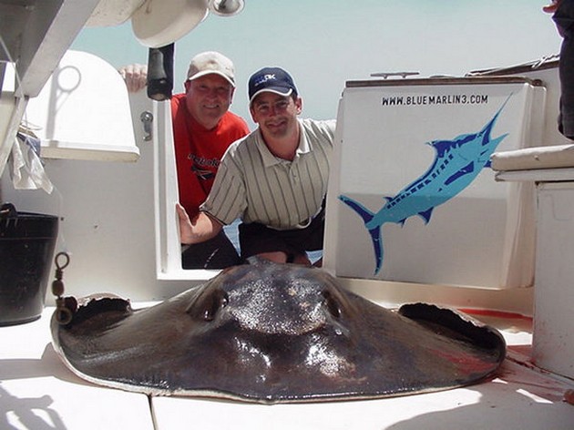 round stingray Cavalier & Blue Marlin Sport Fishing Gran Canaria